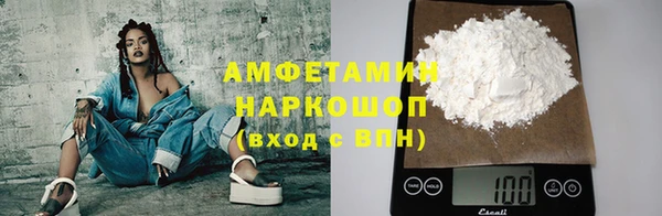 шишки Богородицк