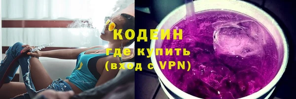 гидра Богородск