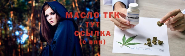 гидра Богородск