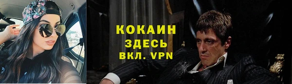 гидра Богородск