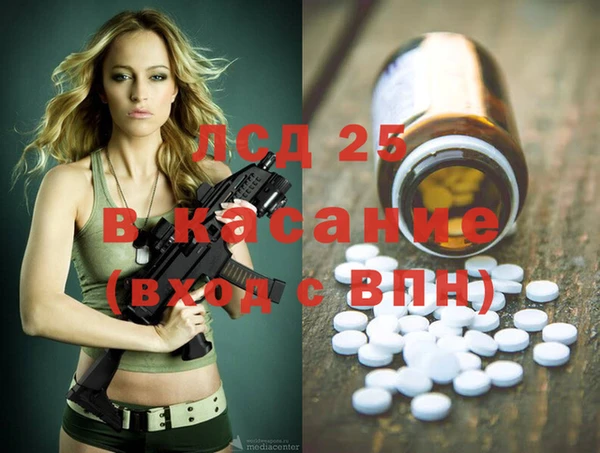 гидра Богданович