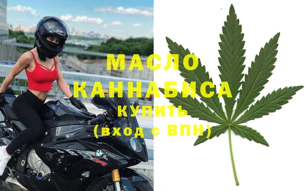 гидра Богородск