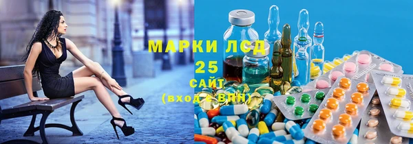 шишки Богородицк
