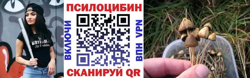магазин    мориарти официальный сайт  Псилоцибиновые грибы GOLDEN TEACHER  Кушва 