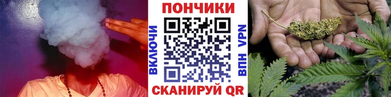 купить наркотики цена  mega   Каннабис планчик  Кушва 